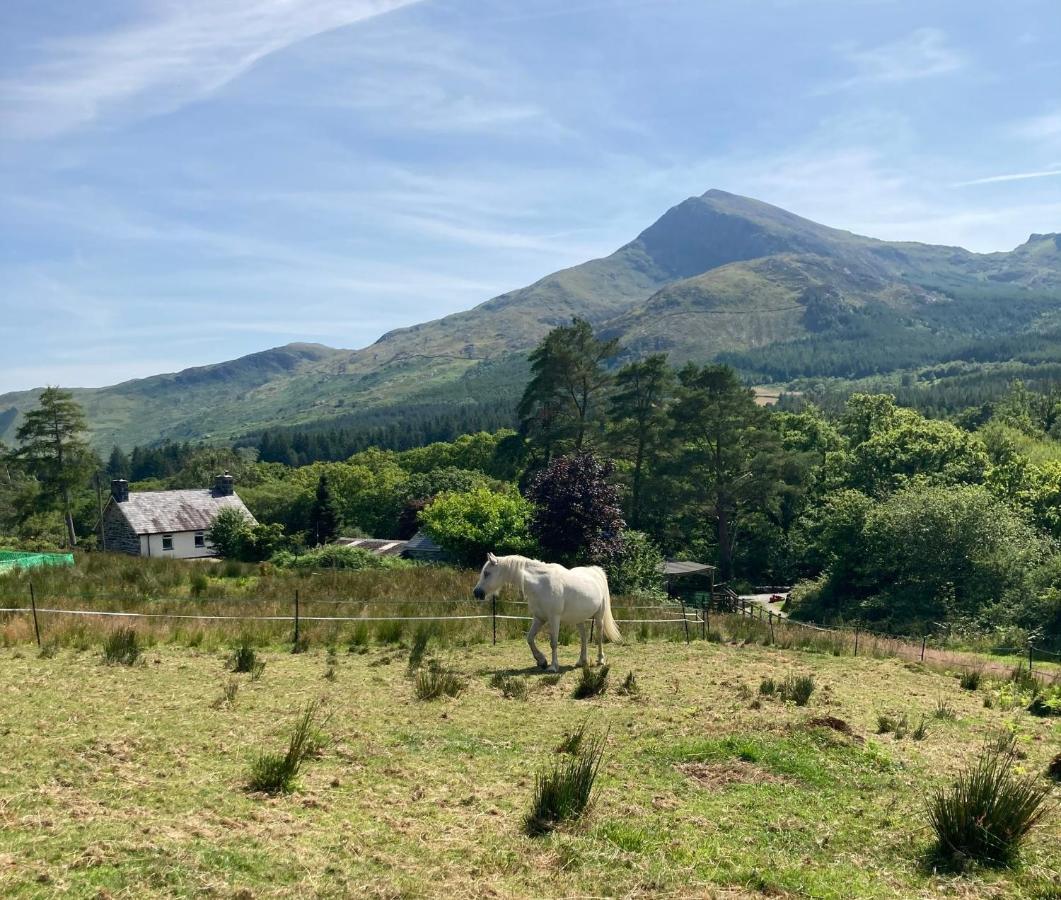 Snowdonia * Beddgelert