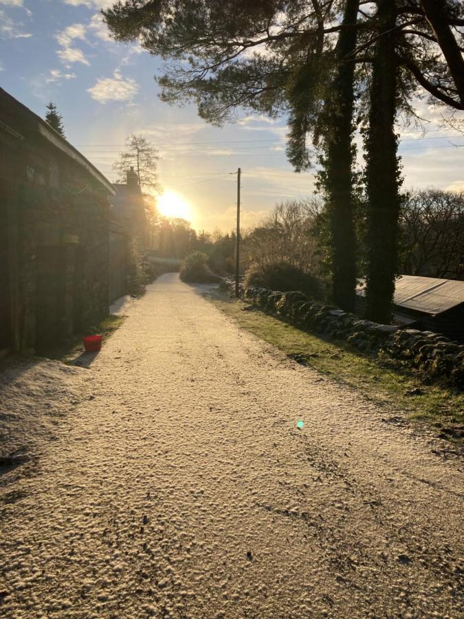 Snowdonia Holiday home